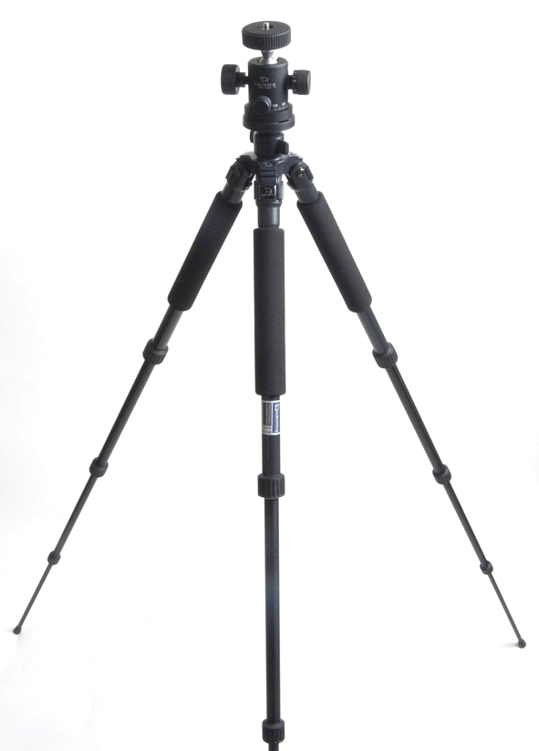 Gitzo Pro Classic tripod What Digital Camera