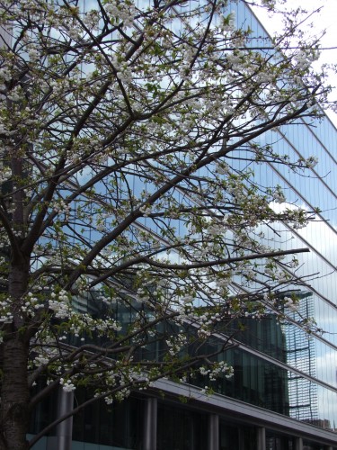 Fujifilm Finepix S100fs Sample Images What Digital Camera