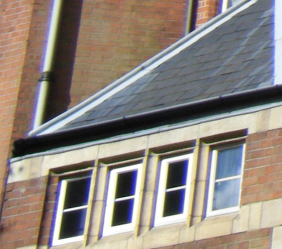 Purple Fringing What Digital Camera