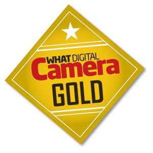 WDC Gold logo