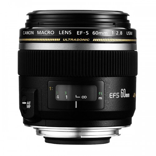Best macro lenses for DSLRs What Digital Camera