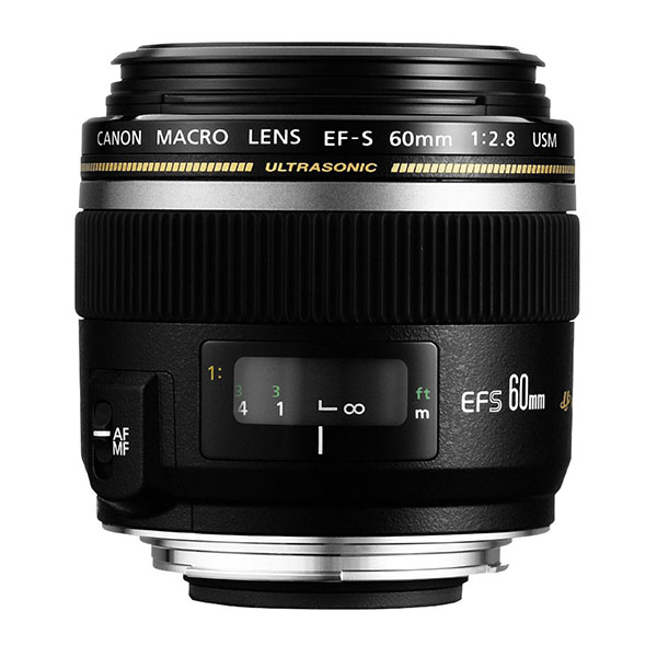 Best macro lenses for DSLRs What Digital Camera
