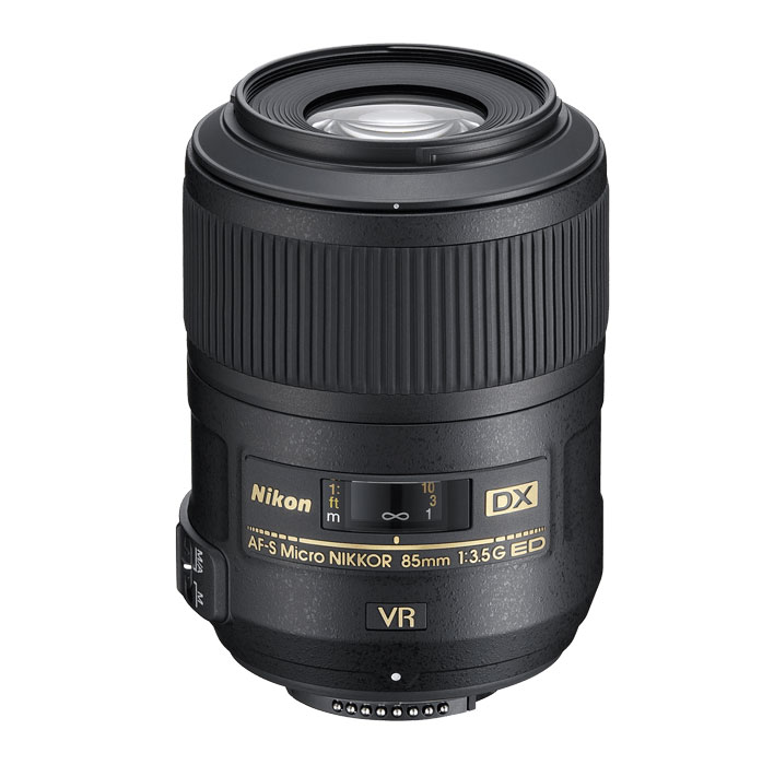 Best macro lenses for DSLRs What Digital Camera