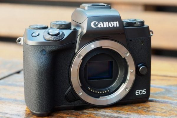 Canon EOS M5 sensor