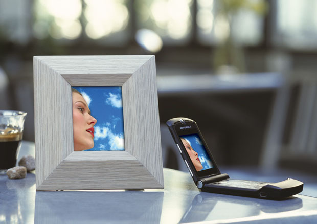 Parrot Bluetooth Photo Viewer