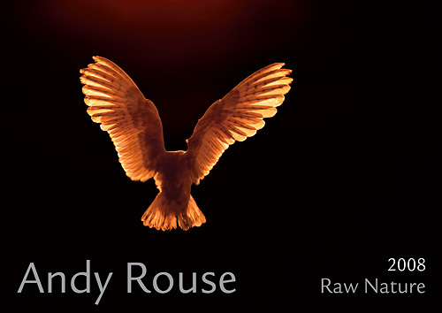 Andy Rouse calendar offer