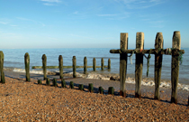 John Freeman's Composition Masterclass