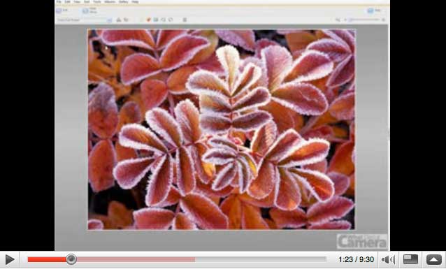 Kodak EasyShare tutorial