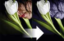 How to mix Black & White and Colour