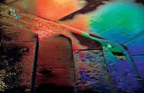 John Freeman's Guide to Colour