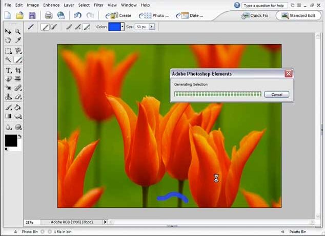 Photoshop Elements 4: Using the Magic Selection Brush