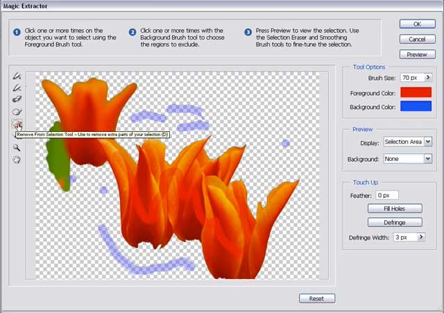 Adobe Photoshop Elements 4: Using the Magic Extractor