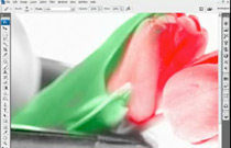 Adobe Photoshop CS3: Hand Colouring - video tutorial
