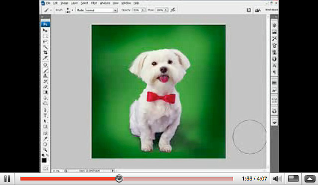 Adobe Photoshop CS3: Creating Vignettes - video tutorial