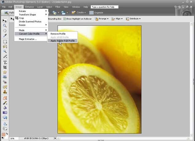Adobe Photoshop Elements 5: Colour Management