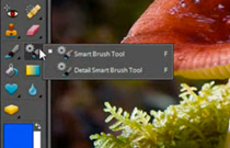 Adobe Photoshop Elements 7: The Smart Brush tool - video tutorial