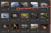 How to Organise Files With Elements