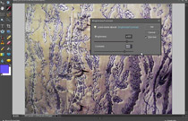 Adobe Photoshop Elements 6: Brightness and Contrast