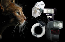 Your Complete Guide to Flash Technology:
 Types of Flash
