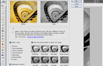 Adobe Photoshop Elements 5: Black and White Conversions