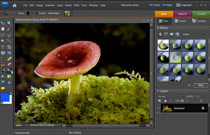 Adobe Photoshop Elements 7: Smart Brush Tool - video tutorial
