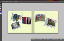Adobe Photshop Elements 6: Introducing Photo Books