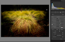 Adobe Photoshop CS4: Dodge and Burn in Lightroom 2