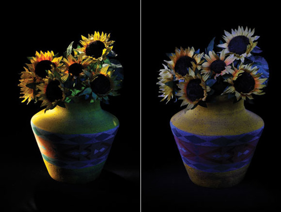 Still life Variation