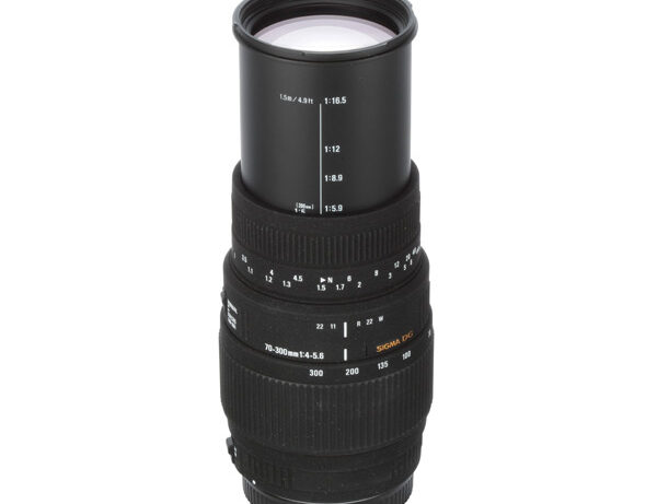 Sigma 70-300mm DG Macro Review