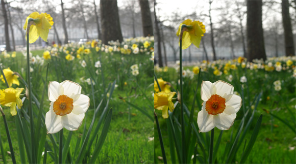 Panasonic LX3 vs. Canon G10 image quality comparison 1