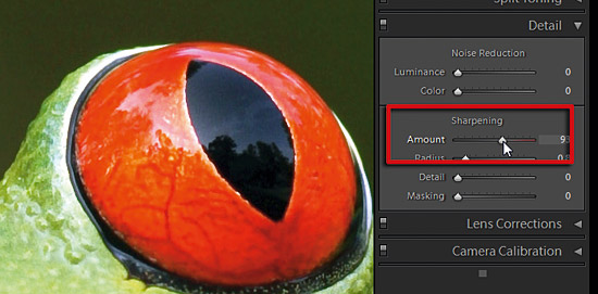 Sharpening in Adobe Camera Raw part 1