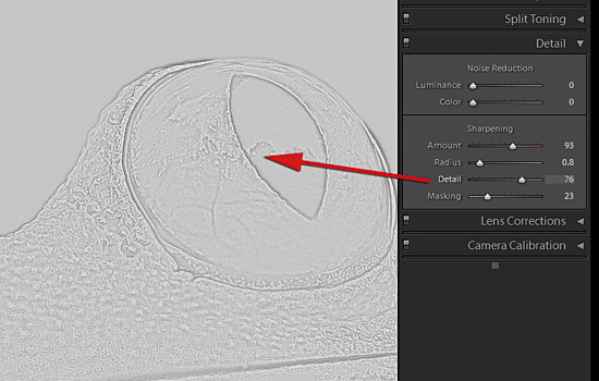 Sharpening in Adobe Camera Raw part 2