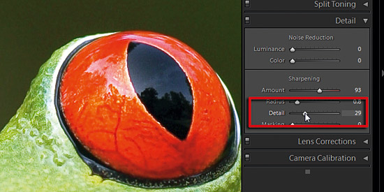 Sharpening in Adobe Camera Raw part 3