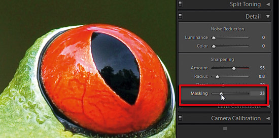 Sharpening in Adobe Camera Raw part 4