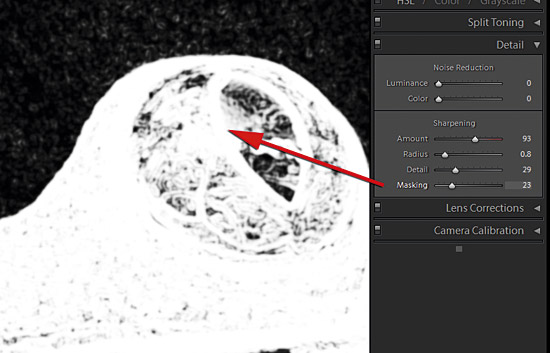 Sharpening in Adobe Camera Raw part 5