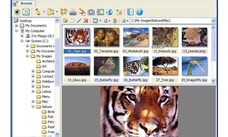 XnView - Graphic and photo viewer