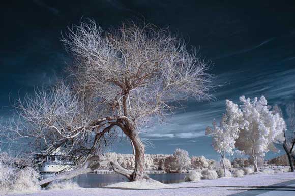 How To Shoot Infrared - What is Infrared Photography