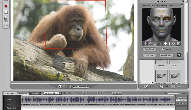 Reallusion Crazytalk 6 Pro