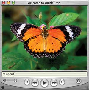 Quicktime Player