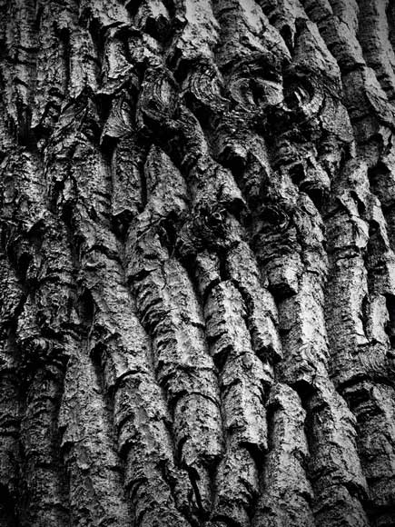 How to Shoot... Black & White - Symmetry and Pattern
