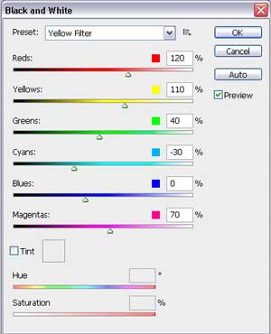 How to Shoot... Black & White - PsCS4 Channels