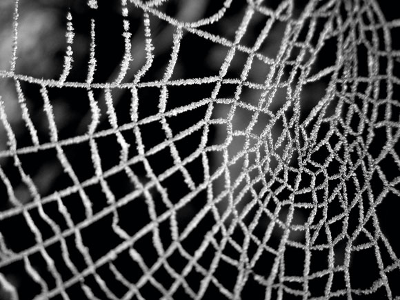 Tips for Photographing Frost, Ice and Snow