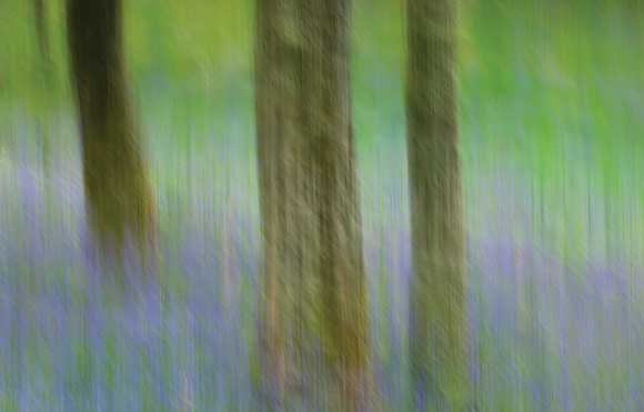 How To Shoot... Motion Pictures - Camera movement