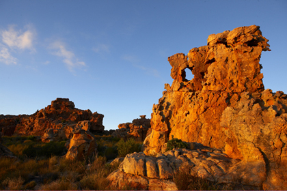 JF-CEDERBERG JF-CEDERBERG