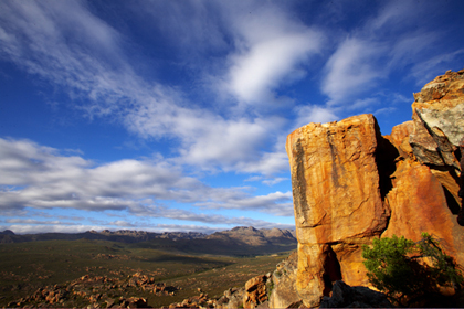 JF-CEDERBERG JF-CEDERBERG