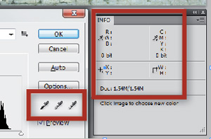 Eyedropper Tonal Control Step 1