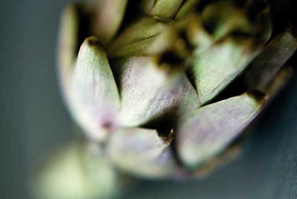 Depth of Field Explained - Introduction