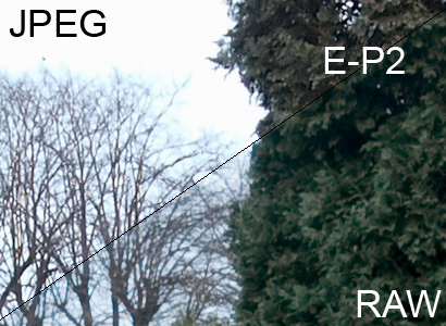 GF1 vs E-P2: EP2: RAW vs JPEG