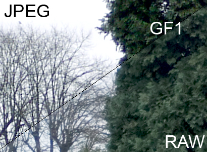 GF1 vs E-P2: GF1: RAW vs JPEG