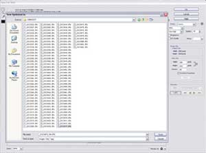 Resizing for Web & Email - Step 4